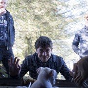 Love/Hate - galeria zdjęć - filmweb