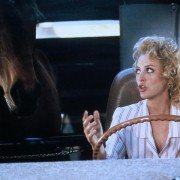 Koń mądrzejszy od jeźdźca - galeria zdjęć - filmweb
