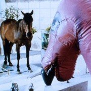 Hot to Trot - galeria zdjęć - filmweb