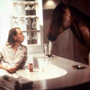 Koń mądrzejszy od jeźdźca - galeria zdjęć - filmweb