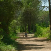 Małe miłości - galeria zdjęć - filmweb