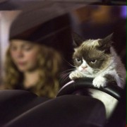 Grumpy Cat's Worst Christmas Ever - galeria zdjęć - filmweb