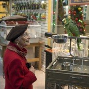 Grumpy Cat's Worst Christmas Ever - galeria zdjęć - filmweb