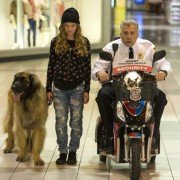 Grumpy Cat: Niewesołych świąt - galeria zdjęć - filmweb