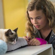 Grumpy Cat's Worst Christmas Ever - galeria zdjęć - filmweb