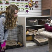 Grumpy Cat's Worst Christmas Ever - galeria zdjęć - filmweb