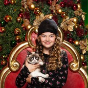 Grumpy Cat: Niewesołych świąt - galeria zdjęć - filmweb
