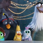 The Angry Birds Movie 2 - galeria zdjęć - filmweb