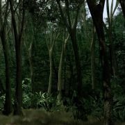 Aztec: Klątwa w sercu Złotego Miasta - galeria zdjęć - filmweb