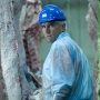 Nocny pociąg z mięsem - galeria zdjęć