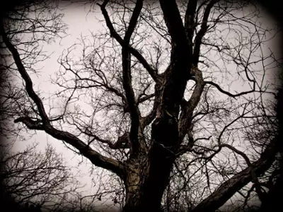 Dark Was the Night - galeria zdjęć - filmweb