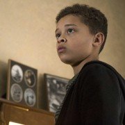 Feed the Beast - galeria zdjęć - filmweb