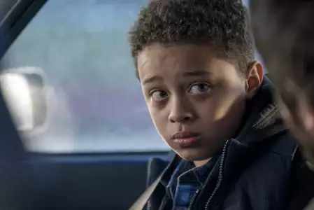 Feed the Beast - galeria zdjęć - filmweb