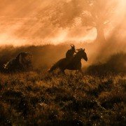 Czarownica - galeria zdjęć - filmweb