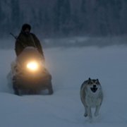 Happy People: A Year in the Taiga - galeria zdjęć - filmweb