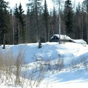 Happy People: A Year in the Taiga - galeria zdjęć - filmweb