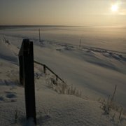 Happy People: A Year in the Taiga - galeria zdjęć - filmweb