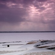 Happy People: A Year in the Taiga - galeria zdjęć - filmweb