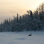 Happy People: A Year in the Taiga - galeria zdjęć - filmweb