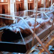 Lifeforce - galeria zdjęć - filmweb