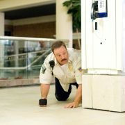 Paul Blart: Mall Cop - galeria zdjęć - filmweb
