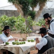 Alla vita - galeria zdjęć - filmweb