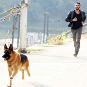 Komisarz Rex - galeria zdjęć - filmweb