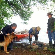 Komisarz Rex - galeria zdjęć - filmweb