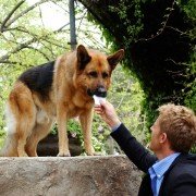 Komisarz Rex - galeria zdjęć - filmweb
