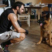 Komisarz Rex - galeria zdjęć - filmweb