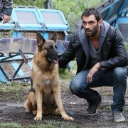 Il commissario Rex - galeria zdjęć - filmweb