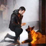 Il commissario Rex - galeria zdjęć - filmweb