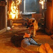 Il commissario Rex - galeria zdjęć - filmweb
