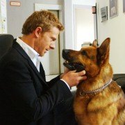 Il commissario Rex - galeria zdjęć - filmweb