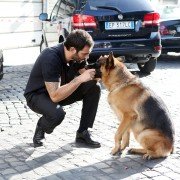 Il commissario Rex - galeria zdjęć - filmweb