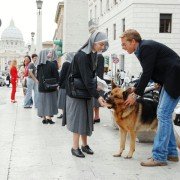 Il commissario Rex - galeria zdjęć - filmweb