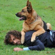 Il commissario Rex - galeria zdjęć - filmweb