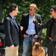Il commissario Rex - galeria zdjęć - filmweb