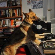Il commissario Rex - galeria zdjęć - filmweb