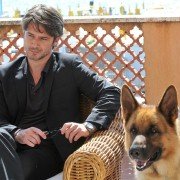 Il commissario Rex - galeria zdjęć - filmweb