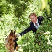 Il commissario Rex - galeria zdjęć - filmweb