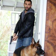 Il commissario Rex - galeria zdjęć - filmweb