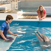 Dolphin Tale 2 - galeria zdjęć - filmweb