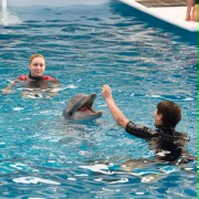 Mój przyjaciel delfin 2: Ocalić Mandy - galeria zdjęć - filmweb