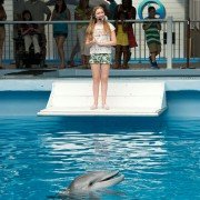 Dolphin Tale 2 - galeria zdjęć - filmweb
