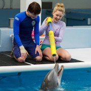 Dolphin Tale 2 - galeria zdjęć - filmweb