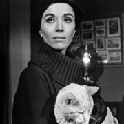 Lista Adriana Messengera - galeria zdjęć - filmweb