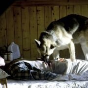 Carriers - galeria zdjęć - filmweb