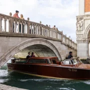 The Beauty - galeria zdjęć - filmweb