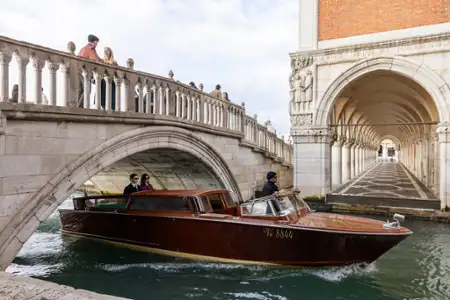 The Beauty - galeria zdjęć - filmweb